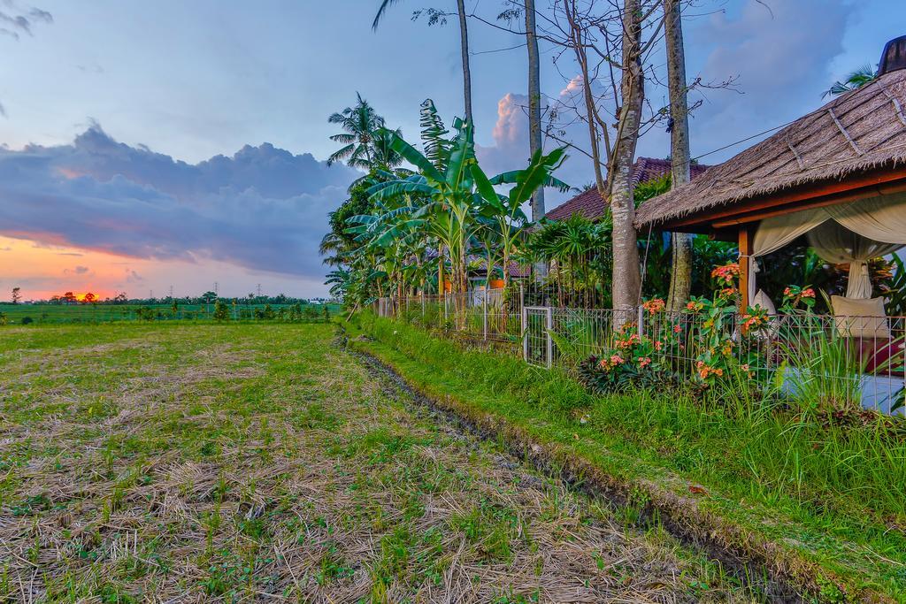Villa Kaba Kaba Resort Canggu Екстериор снимка