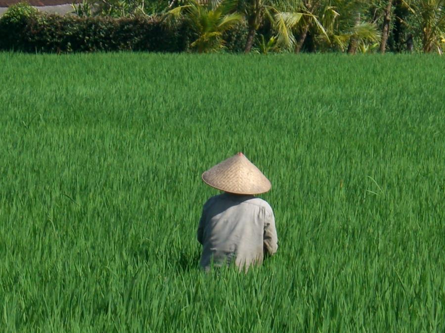 Villa Kaba Kaba Resort Canggu Екстериор снимка